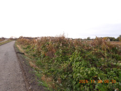 DSCN0970.JPG