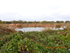 DSCN0971.JPG