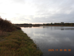DSCN0973.JPG