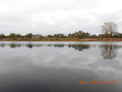 DSCN0974.JPG