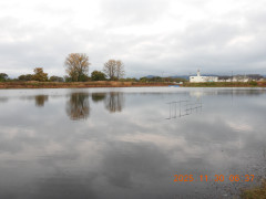 DSCN0975.JPG