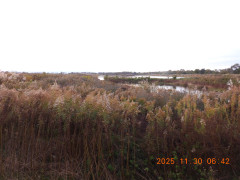 DSCN0979.JPG