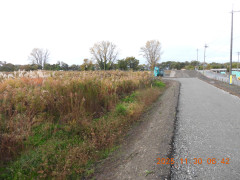 DSCN0980.JPG