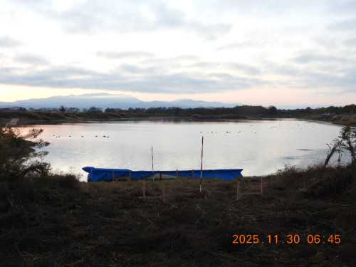 DSCN0983.JPG