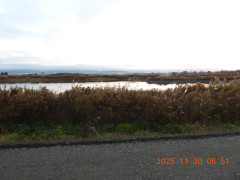 DSCN0986.JPG
