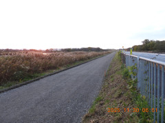 DSCN0987.JPG