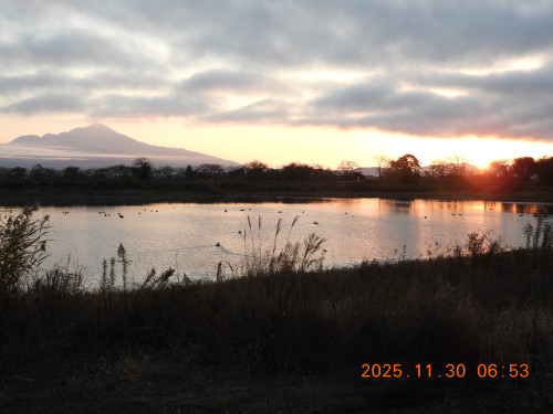DSCN0988.JPG