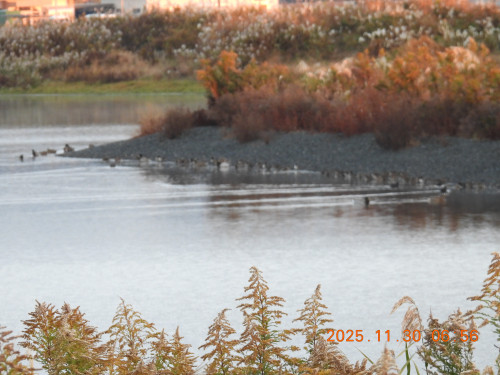 DSCN0991.JPG