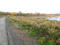 DSCN0992.JPG