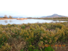 DSCN0993.JPG