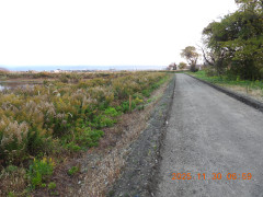 DSCN0994.JPG