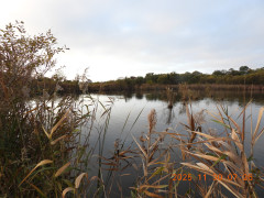 DSCN1005.JPG
