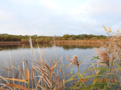 DSCN1006.JPG