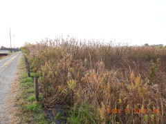 DSCN1010.JPG