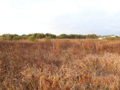 DSCN1011.JPG