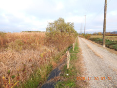 DSCN1012.JPG