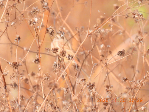 DSCN1008.JPG