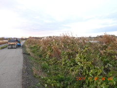 DSCN1040.JPG
