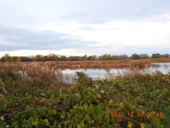 DSCN1041.JPG