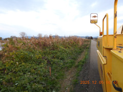 DSCN1042.JPG
