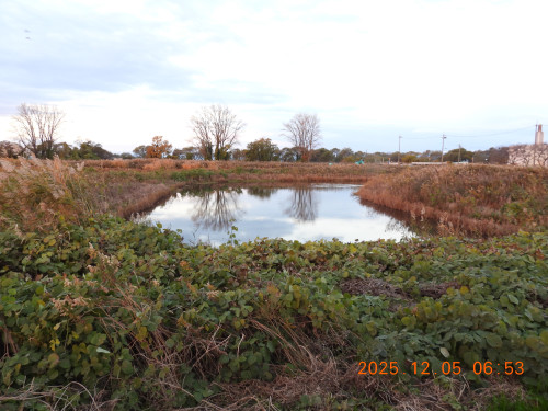 DSCN1050.JPG