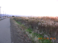 DSCN1053.JPG