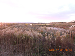 DSCN1054.JPG