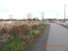 DSCN1055.JPG