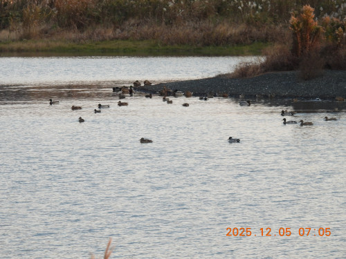 DSCN1058.JPG