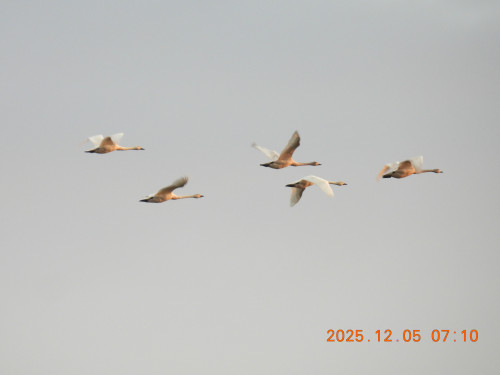 DSCN1064.JPG