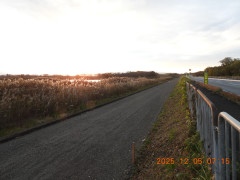 DSCN1070.JPG