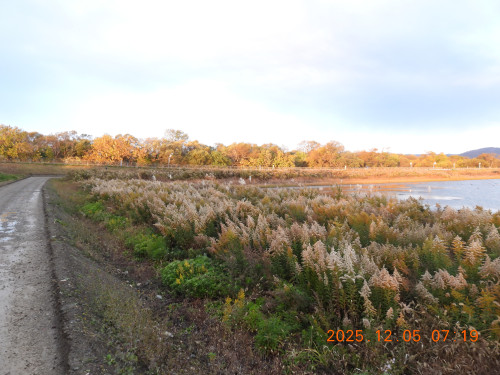 DSCN1071.JPG