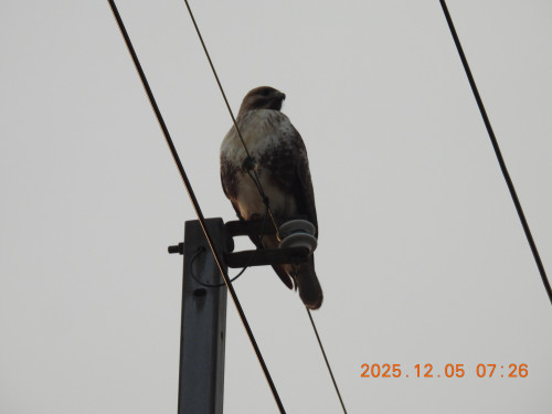 DSCN1079.JPG