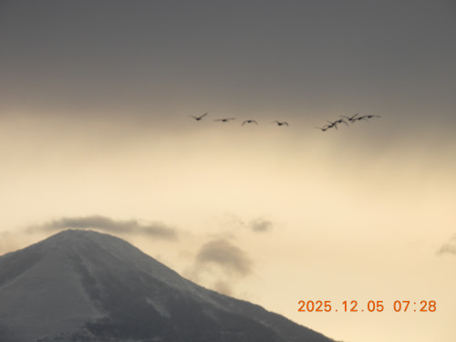 DSCN1081.JPG