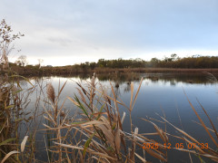 DSCN1086.JPG