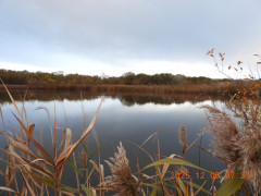 DSCN1087.JPG