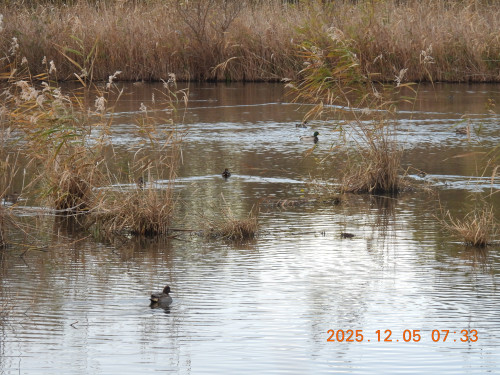 DSCN1085.JPG
