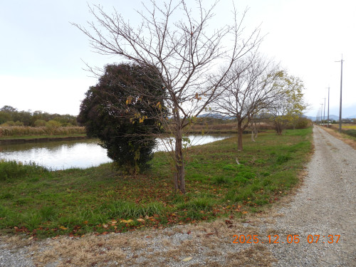 DSCN1090.JPG