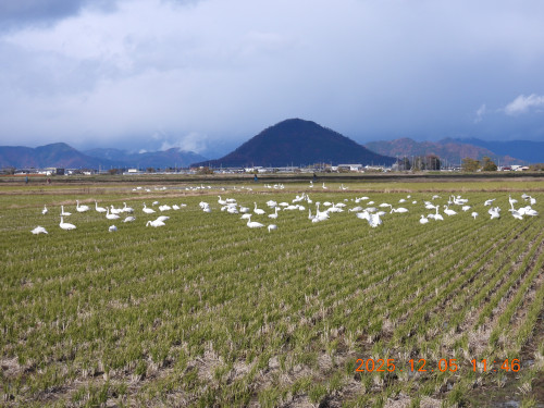 DSCN1091.JPG