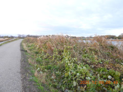 DSCN1094.JPG