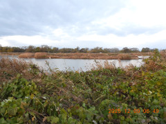 DSCN1095.JPG