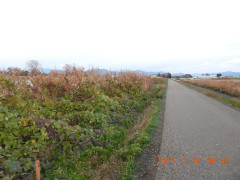DSCN1096.JPG