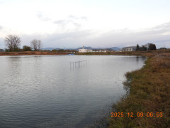 DSCN1099.JPG