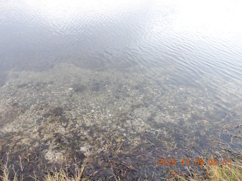 DSCN1100.JPG