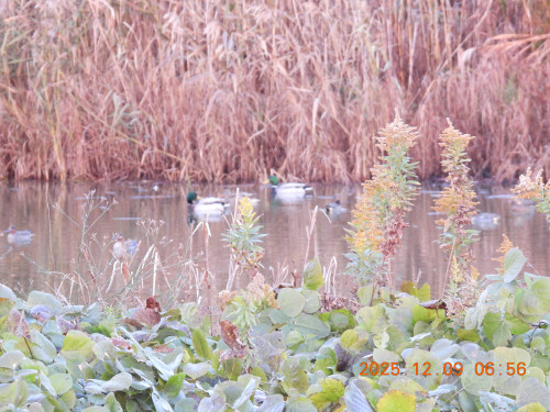 DSCN1102.JPG