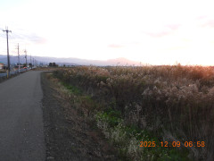 DSCN1103.JPG
