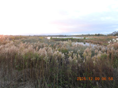 DSCN1104.JPG