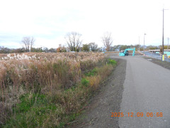 DSCN1105.JPG