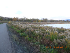 DSCN1116.JPG