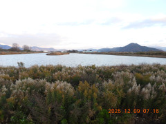 DSCN1117.JPG